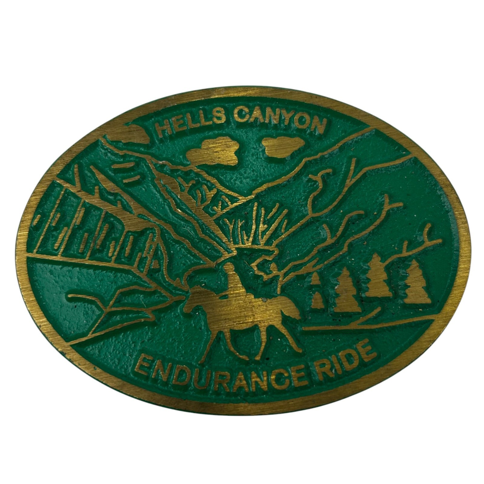 Hebilla de cinturón Hells Canyon Endurance Ride de colección color dorado y verde de Dynabuckle