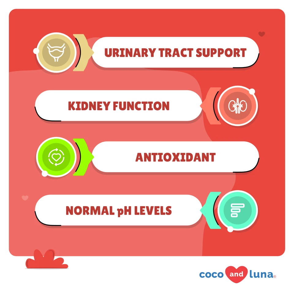 Arándano para perros - Soporte del tracto urinario, apoyo para la incontinencia, infección urinaria para perros Foto 2 de 4