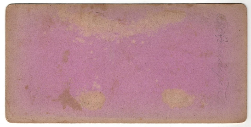 NIAGARA SUSPENSION BRIDGE Photo SV Entrance Construction Yard Fence 1870s Curtis - Image 3 of 3