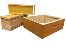 Melario per arnia da 10 favi, 43x50 cerato