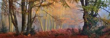 Landscape mist forest fall trees sun rays morning shrubs Custom Gaming Mat Desk