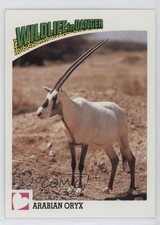 1992 Panini Wildlife in Danger Arabian Oryx #95 0kb5