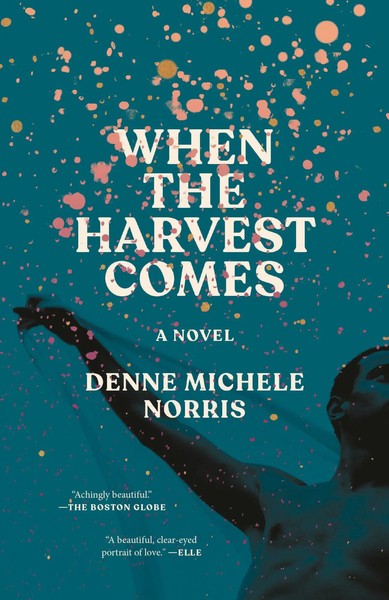 When The Harvest Comes | A Novel | Denne Michele Norris | Taschenbuch | Englisch-image