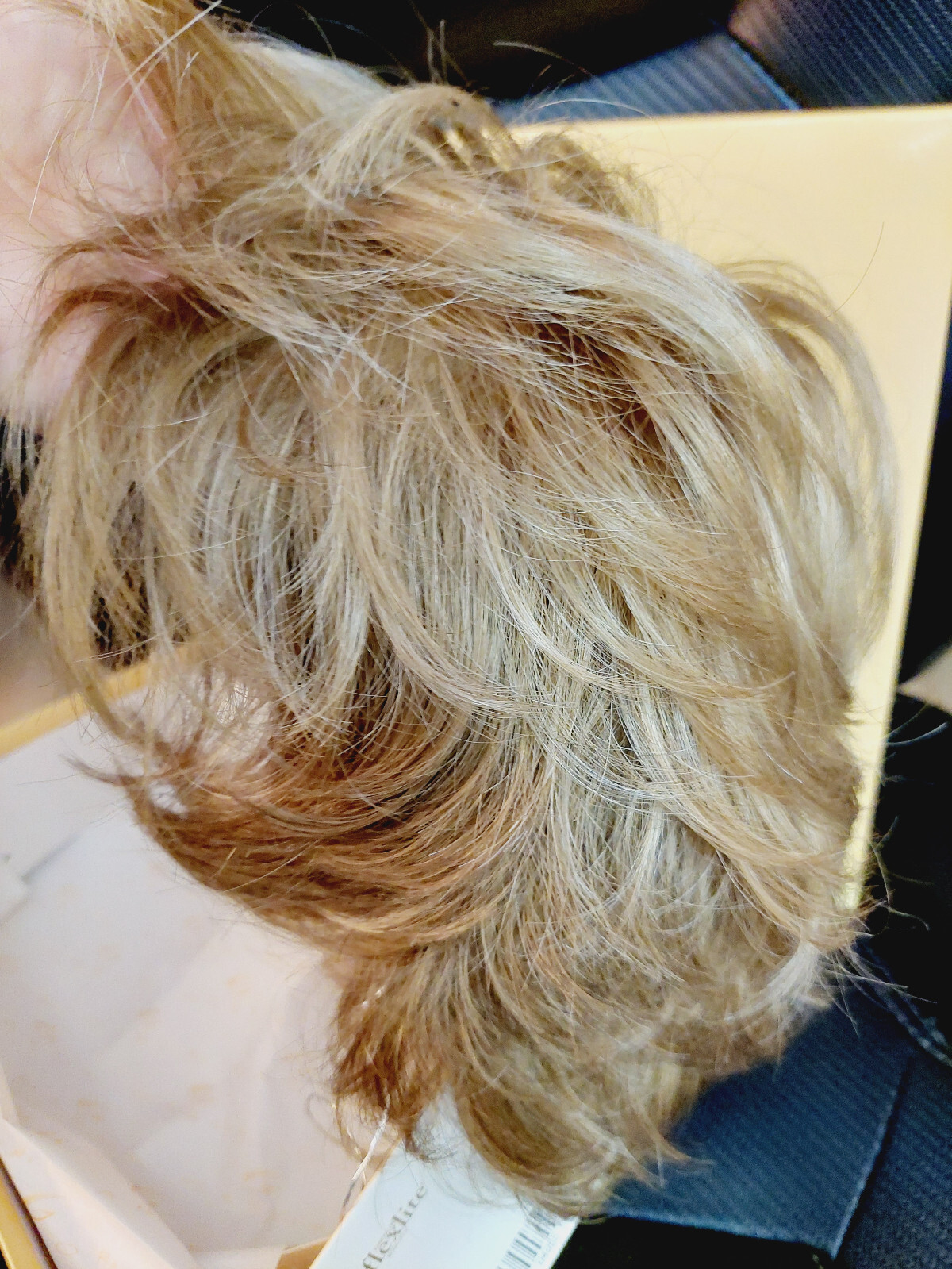 Eva Gabor Carte Blanche Wig Short Waved G19+ Praline Mist by Hairuwear