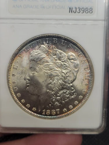 1887 $1 Morgan Dollar MS64 ANA First Generation Holder..Toned..NJ3988