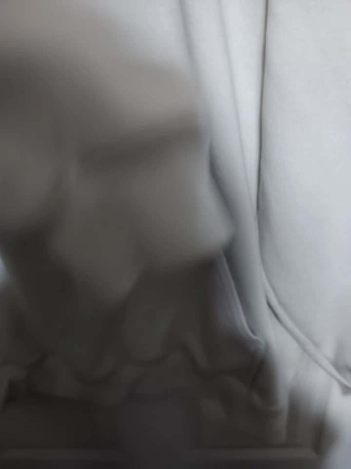 Sudadera con capucha pulóver para hombre Carhartt 104902 W03 holgada blanca XL Foto 4 de 4