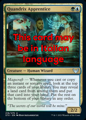MTG 4x QUANDRIX APPRENTICE EXC - LEHRLING VON WHENRIX - STX - MAGIC