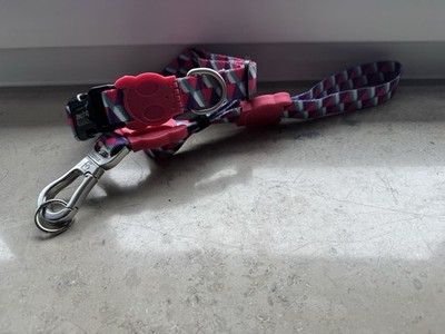 ZEE.Dog Halsband und Leine Set