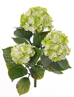 Artplants Kunst Hortensie Saira, Steckstab, GrüN-Creme, 40Cm, Ø11-13Cm