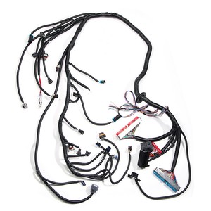 For 1997-2006 DBC LS1 Standalone Wiring Harness With 4L ... standalone harness lq4 wiring 