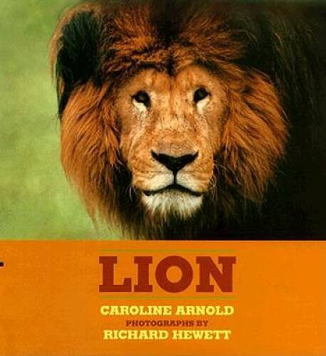 Lion - Hardcover By Arnold, Caroline - GOOD