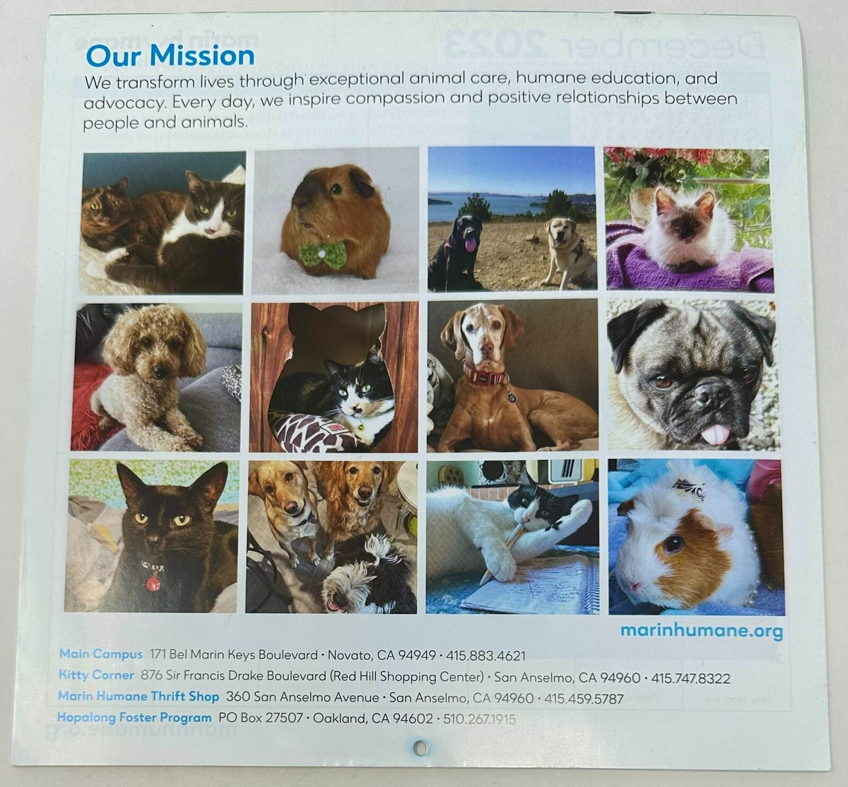2023 Marin Humane Society Animal Rescue Wall Calendar x in