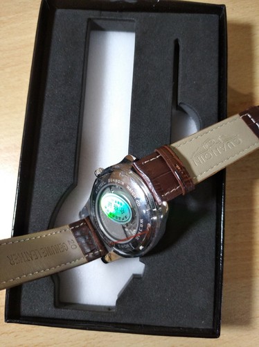 Guanqin GJ 16034 orologio automatico vetro zaffiro cassa tungsteno - Foto 3 di 5