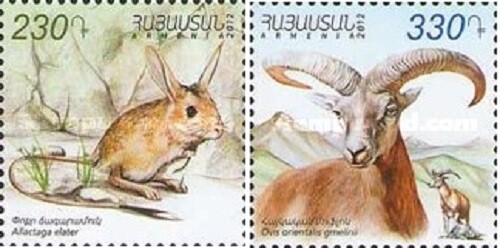 2012 Armenia Fauna Allactaga elater Ovis orientalis gmelinii montado sin montar o nunca montado - Imagen 1 de 1