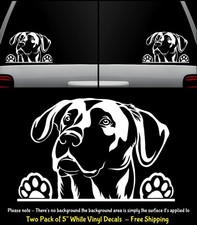 Labrador Retriever Two 5" White Vinyl Graphic Decal Car Windows Laptop Notebook