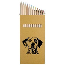 12 x 'Dalmation Portrait' Long 178mm Coloured Pencils / Pencil Set PE00072293 