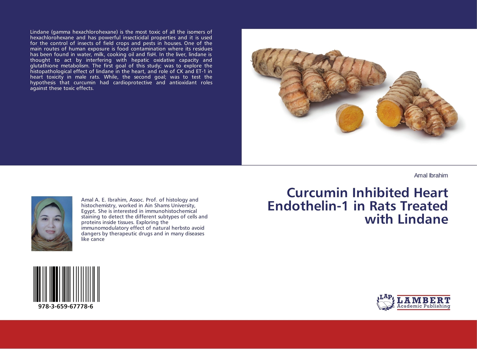 Thumbnail - Amal Ibrahim | Curcumin Inhibited Heart Endothelin-1 In Rats Treated