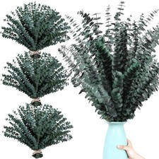 85 Pcs , 17 Inch Real Fresh Preserved Eucalyptus Bundles, Eucalyptus Branches...