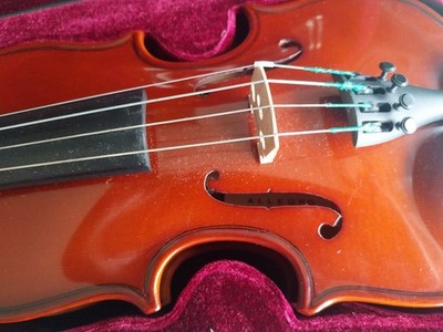 Gewa Violine - Modell Allegro 1/8 - Geige, Koffer und Bogen - spielbereit