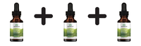 3 X Swanson Ginkgo Biloba Liquid Extract, 250Mg - 29 Ml. (425,17 Eur/L)