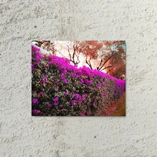 Photo on Metal Print