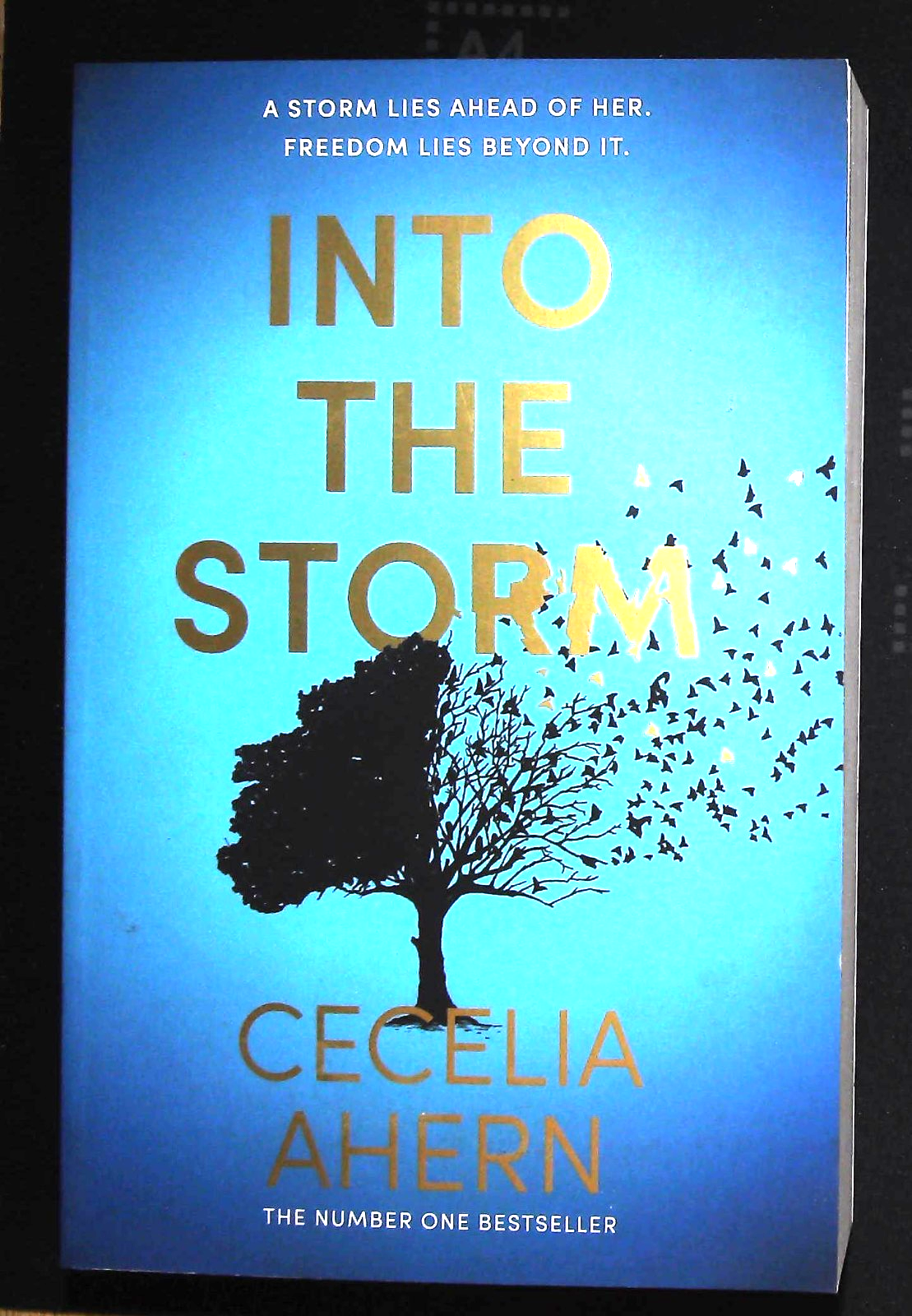 Into the Storm by Cecelia Ahern Book NEW Novel Paperback