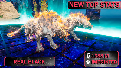  ARK Survival Ascended PvE PC/XBOX/PS5 PYROMANE REAL BLACK NEW TOP STATS  1588M