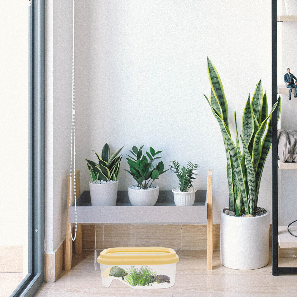 2 Count Reptile Basking Platform Tortoise Habitat Accessories Turtle