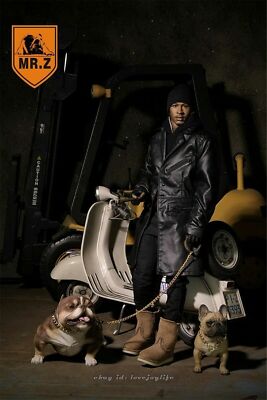 Mr.Z 1/6 American Bully Pitbull Dog Model Figurine Animal Pet Toy