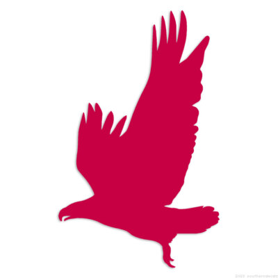 Bird Eagle Hawk - Decal Sticker - Multiple Colors & Sizes - ebn6084