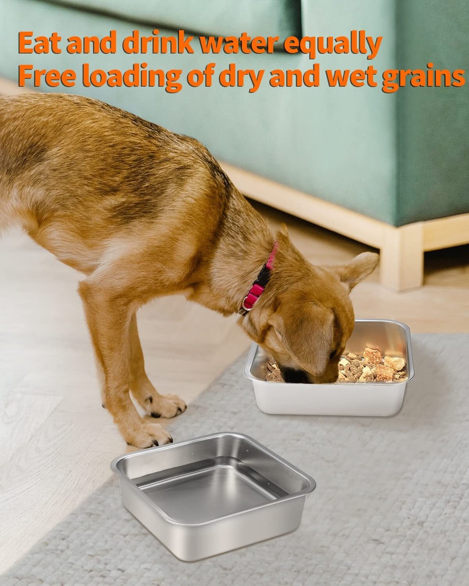 Gamelles Inox Lot De 2 Gamelles Murales Pour Chien - Mangeoire En Inox Pliable - Support Réglable Pour économiser L'espace Gamelles Pliables Chien
