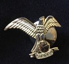 National Rivers Hall of Fame Pin HTF Rare Eagle Holding Or Standing on the Earth — photo 6