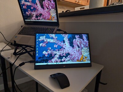 ViewSonic VA1655-R 16'' 1080p Portable IPS Monitor 