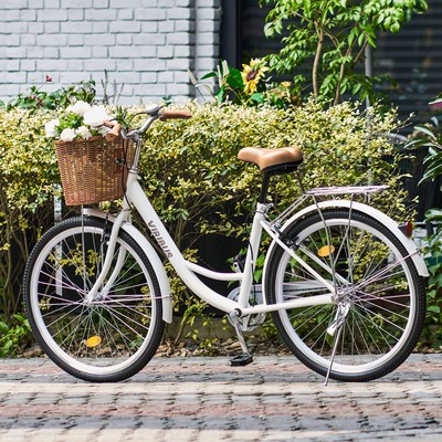 magnetmotor fahrrad kaufen -Rotor -Magnetstahllegierung für 66 ° C Motorisiert Auto & Motorrad Freihändig Fahrradfahren: Ist das Category:City Urban_Shimano Nabendynamo DH3N31 silber Farbe:natural gold