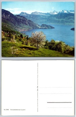 Vierwaldstättersee Luzern Switzerland Lake Lucerne Mountains Postcard
