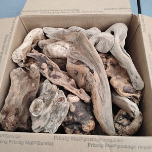 Lot Of Driftwood Pieces 18 Pieces Unique Shapes For DIY Crafts #DC4