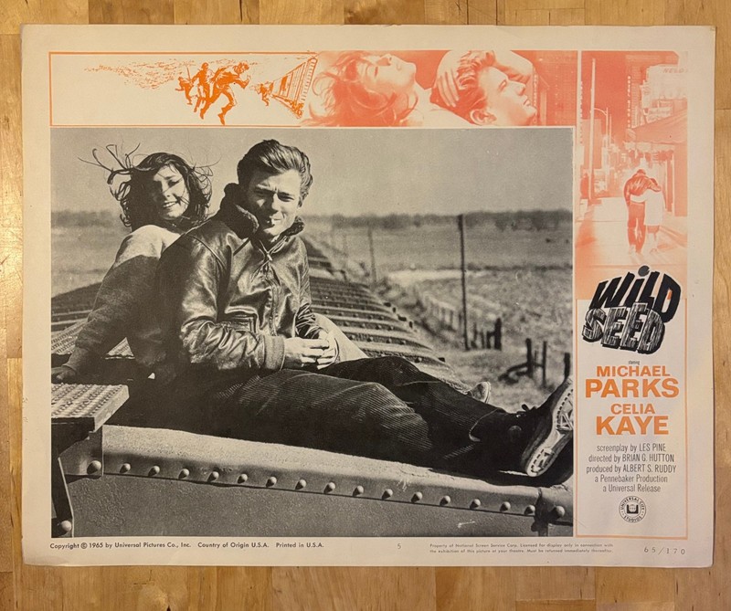 Wild Seed (1965) 11x14 Lobby Card #5, Michael Parks, Celia Kaye, Brian G. Hutton