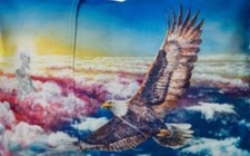 MyPillow Go Anywhere Pillowcase LAND OF THE FREE 12" x 18" Travel Size NIP