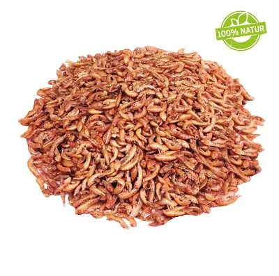 StaWa Gammarus Bachflohkrebse getrocknet | natürlicher ... 0.5 kg (51,98 € / kg)