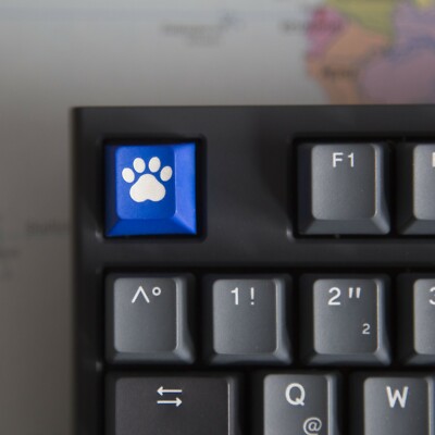 blaue Pfote PBT Tastenkappe keycaps key caps Taste für cherry mx Katze Hunde