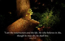 I Am the Resurrection and the Life
