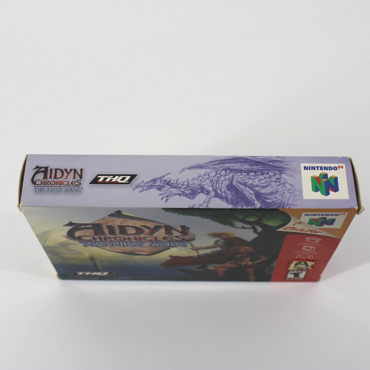 Aidyn Chronicles: The First Mage (Nintendo 64, N64) Black Game