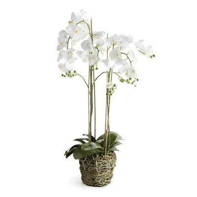 Phalaenopsis Orchid Drop-In 44''
