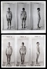 THICK SHORT BLONDE ~1942 NAVY POSTURE PHOTO LOT NEAR NUDE JOCK SAILOR MAN #2 gay — photo 1