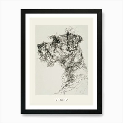 Briard Dog Line Sketch 2 Poster Art Framed Wall Art Poster Canvas Print Picture