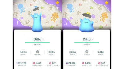  Shiny (Schillernd) Ditto Cap & Hat Background Pokemon GO Exchange or PTC