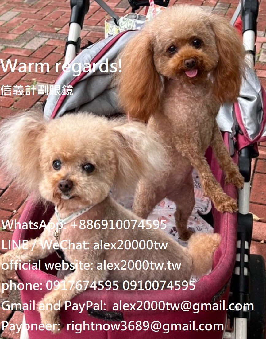 authentic round circle optical frames eyeglasses … - image 14