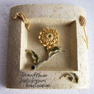 Bilderrahmen formano '' Chrisanteme '' Struckturoptik Polyamid beige 
