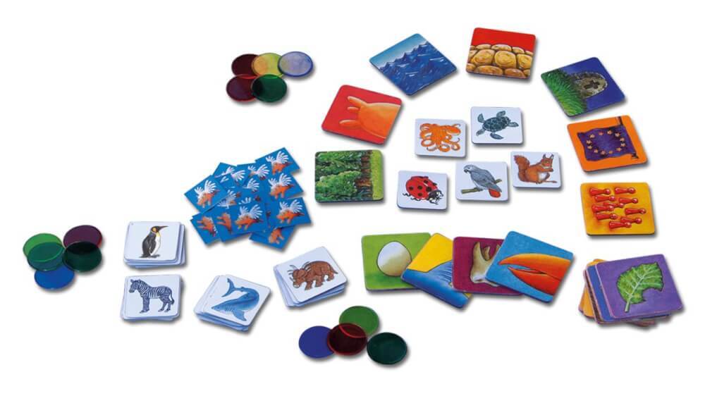 Thumbnail - Können Schweine Fliegen?