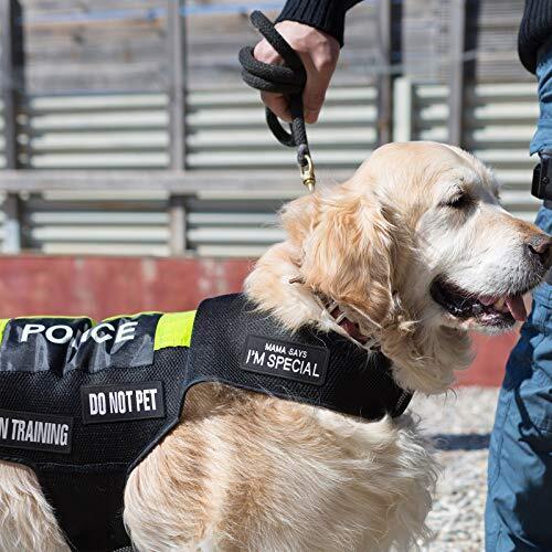 14Er Tactical Service Dog Patches Ask to Pet, Do Not Pet, in